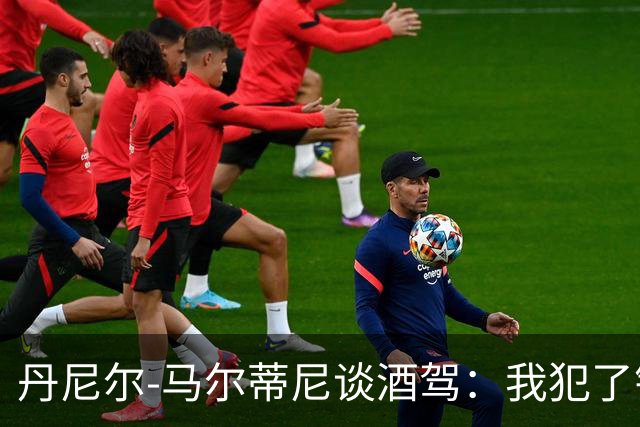 丹尼尔-马尔蒂尼谈酒驾：我犯了错，理所当然要付出代价