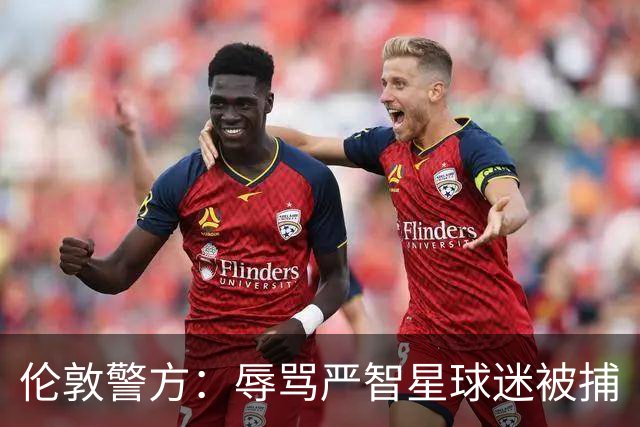 伦敦警方：辱骂严智星球迷被捕