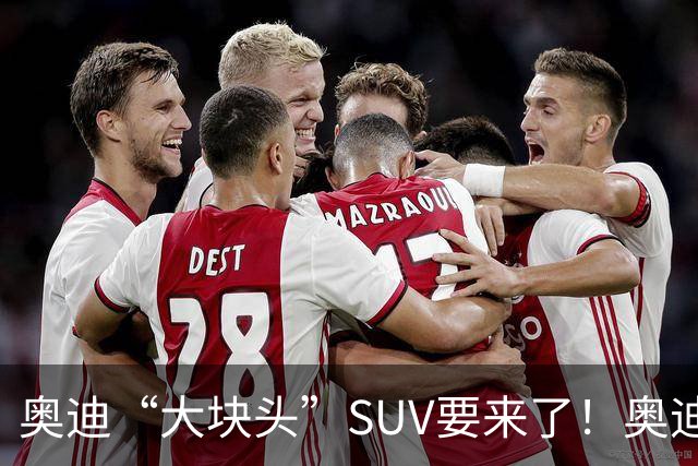 奥迪“大块头”SUV要来了！奥迪Q9现身国内，长超5米3，配367马力
