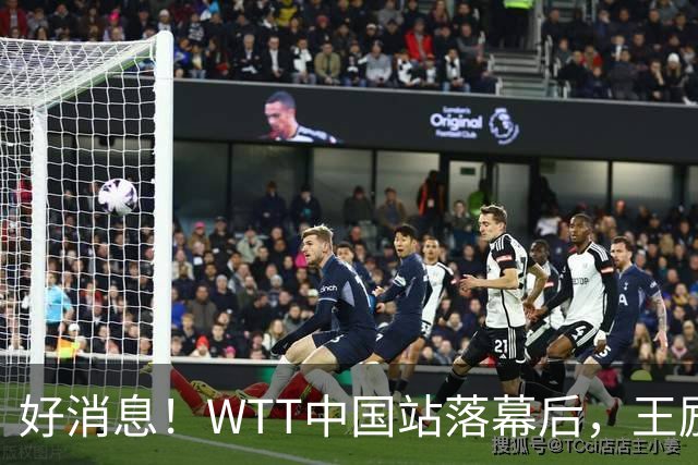 好消息！WTT中国站落幕后，王励勤释放关键信号，樊振东或能回归
