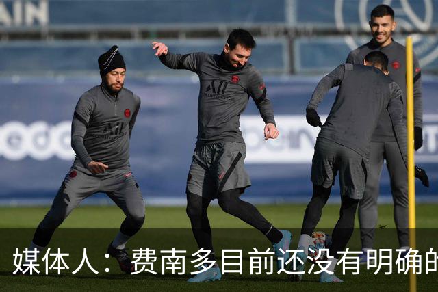 媒体人：费南多目前还没有明确的下家