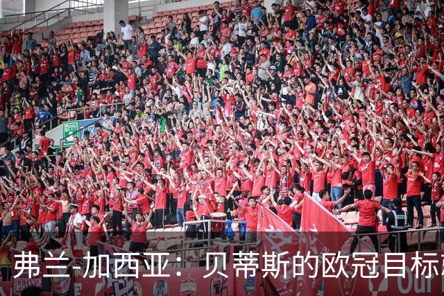 弗兰-加西亚：贝蒂斯的欧冠目标就是尽量进入前24