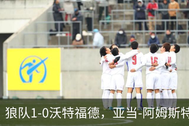 狼队1-0沃特福德，亚当-阿姆斯特朗制胜球