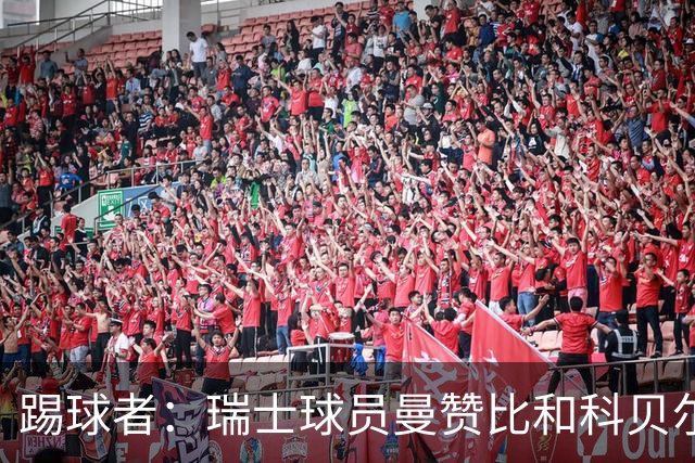 踢球者：瑞士球员曼赞比和科贝尔在科帕奖和雅辛奖双双垫底