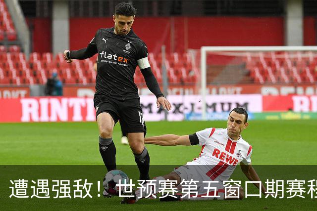 遭遇强敌！世预赛第五窗口期赛程时间公布，男篮迎考验，杨瀚森不出战