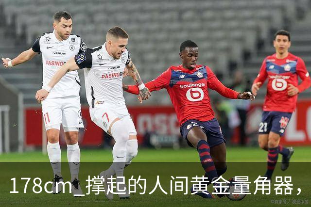 178cm 撑起的"人间黄金量角器"，凭什么火得这么清醒？