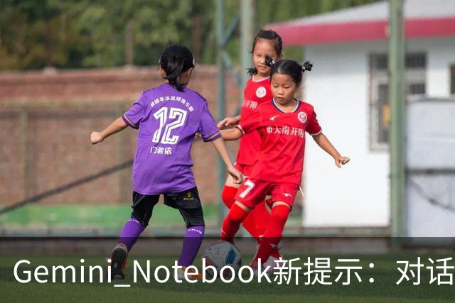 Gemini Notebook新提示：对话可生成视频和幻灯片